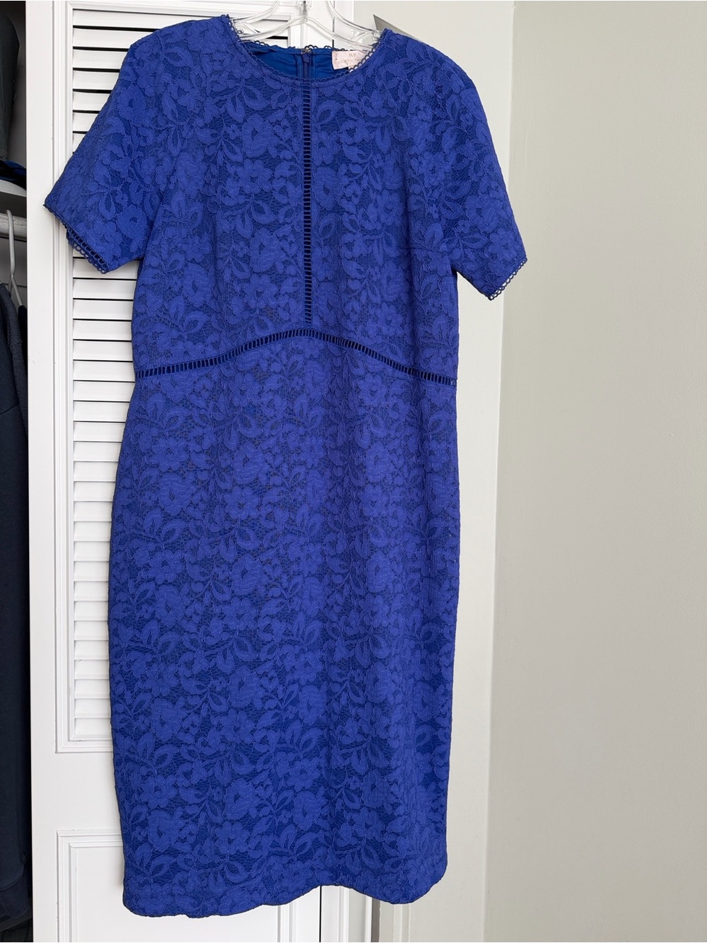 Rachel Parcell Royal Blue Lace Midi Dress